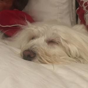 Meet your Posher, Alan